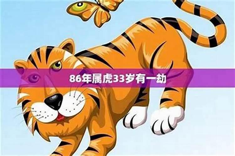 86年属虎本命年注意事项