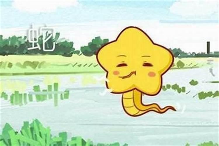 男属猪女属蛇的合婚吗？