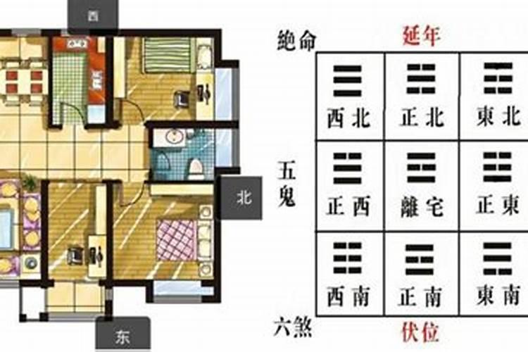 家里利于孩子学业的风水