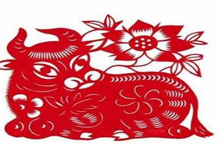 今年属牛的财运和运气和运程如何？