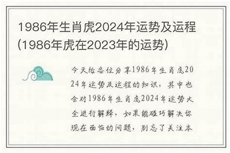 1986年人在2026年运程
