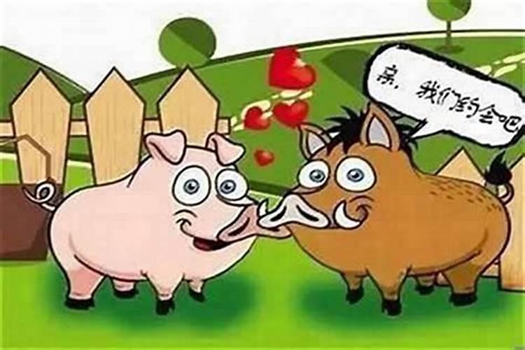 属猪的和属牛的女性合婚吗？