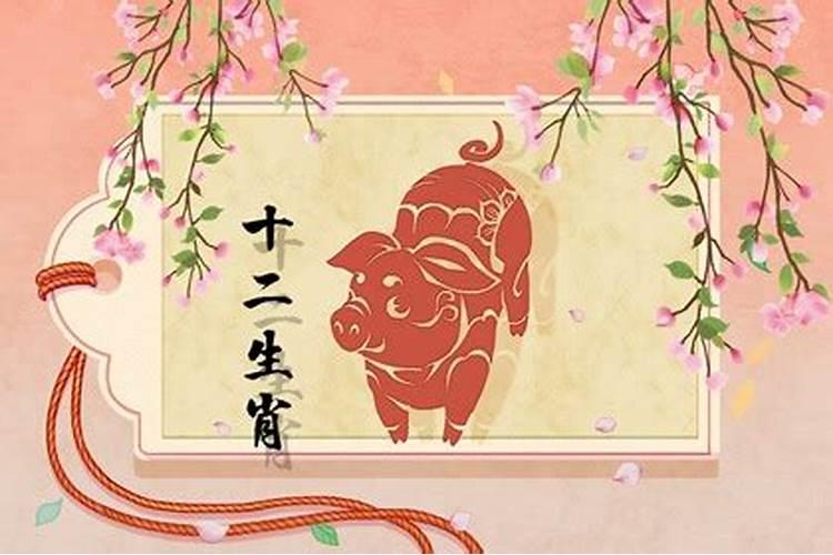属相婚配鸡和猪配吗？