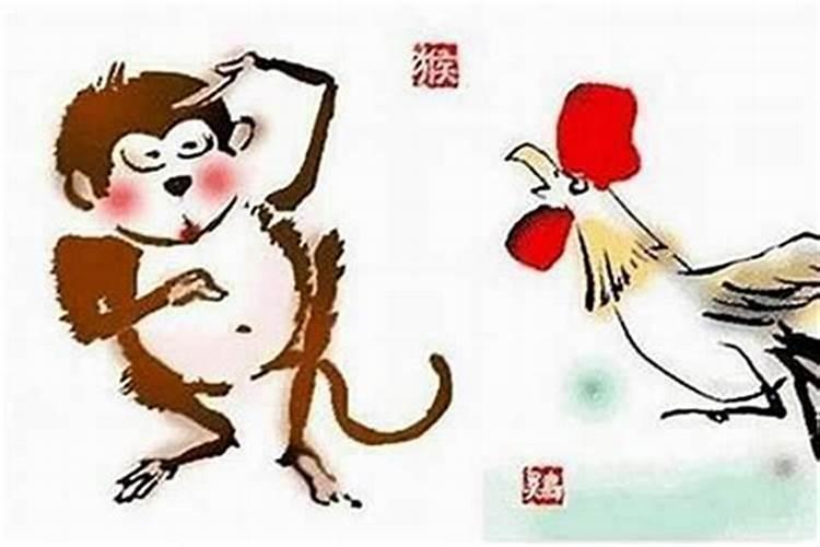 屋鸡的和属猴的合婚吗？