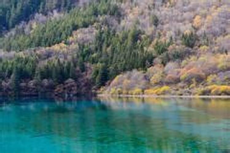 梦见湖水是什么意思被风吹？