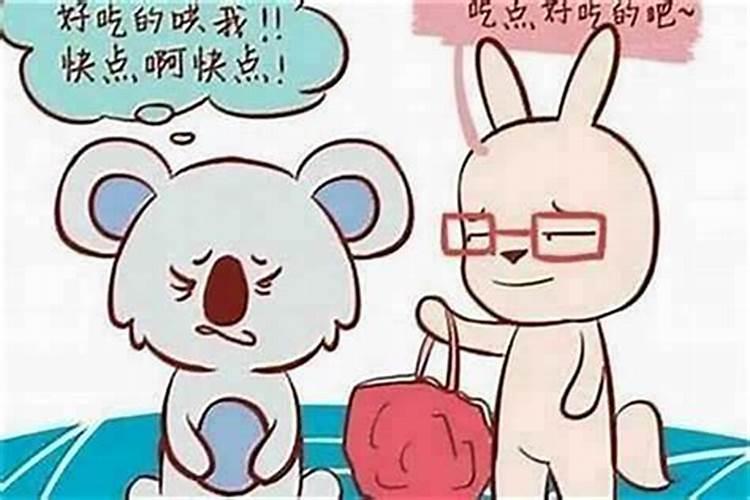 男属鼠和女属兔八字合吗？