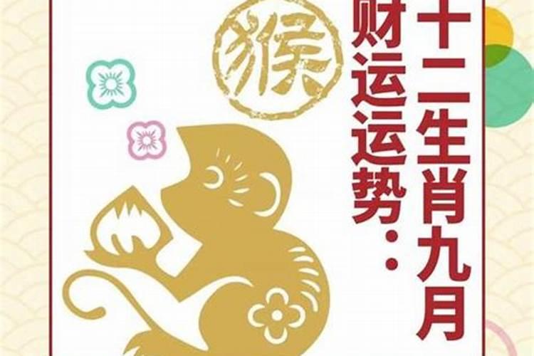 生肖运势和财运如何破解？