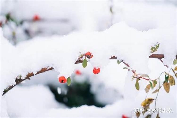 春节后几九？