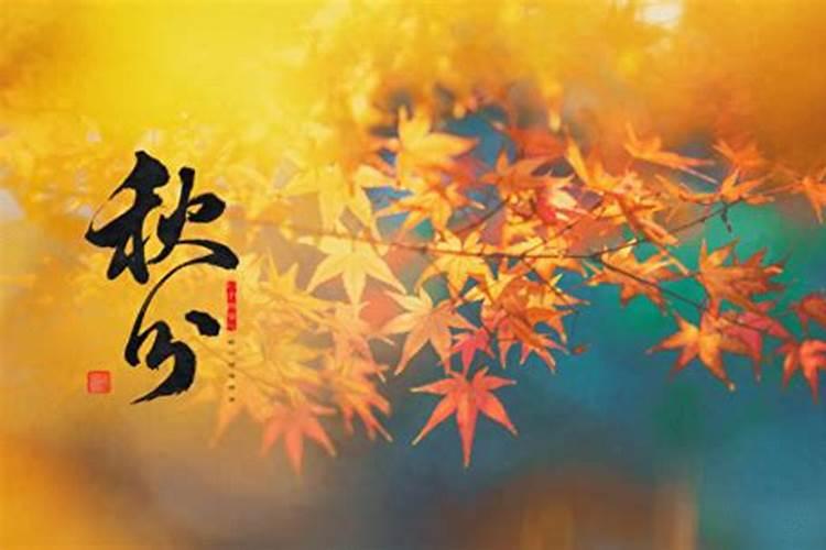 秋分也要运动