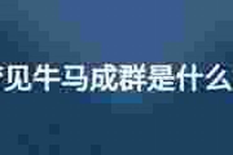 梦见牛马是什么预兆周公解梦？
