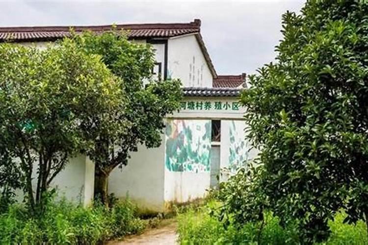 梦见房前屋后都是荒草