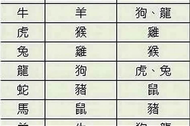 属兔和属牛合婚吗？