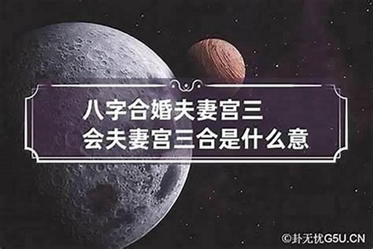 八字不合的人谈恋爱