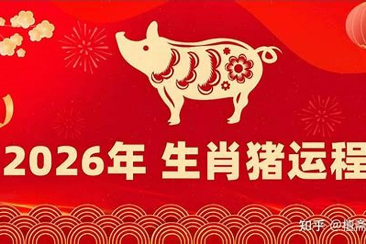 95年属相猪2026年运程