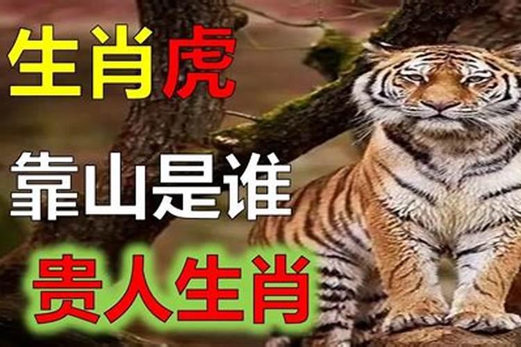 属虎人最大靠山是谁？