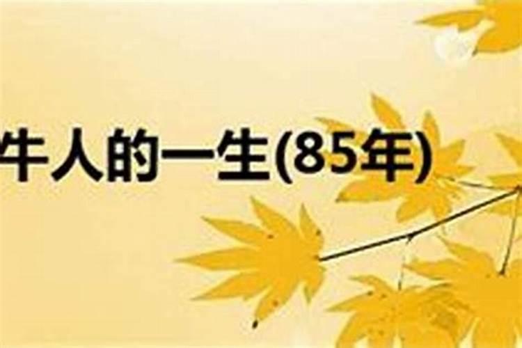 85年三月初五出生运程