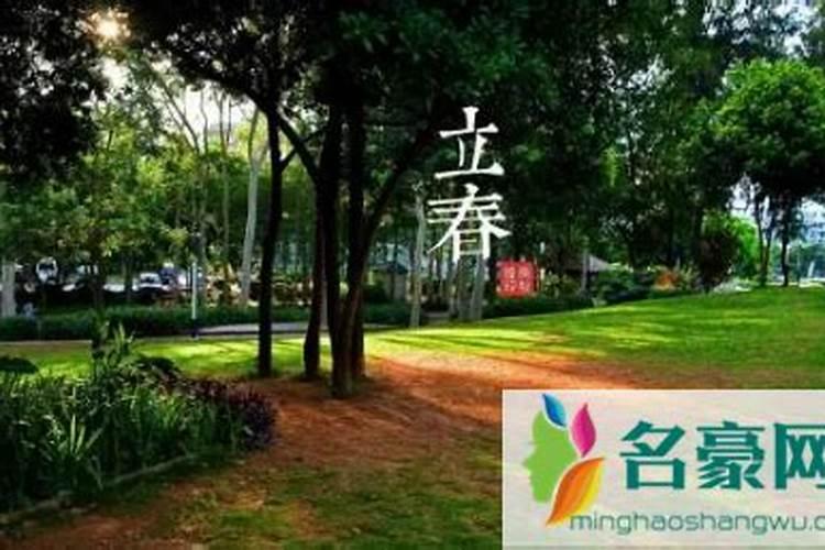 今年立春交运属相