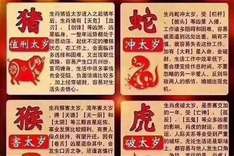 值太岁是代表什么生肖？