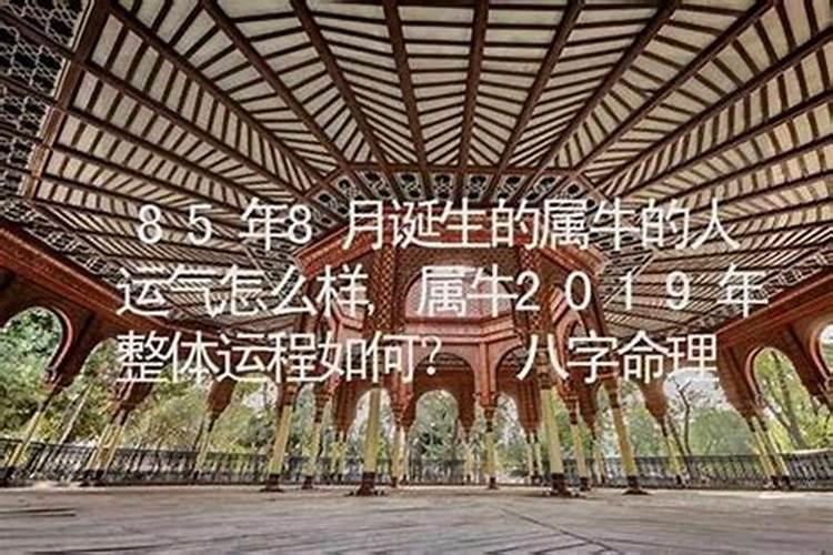 属牛的8月运势如何？