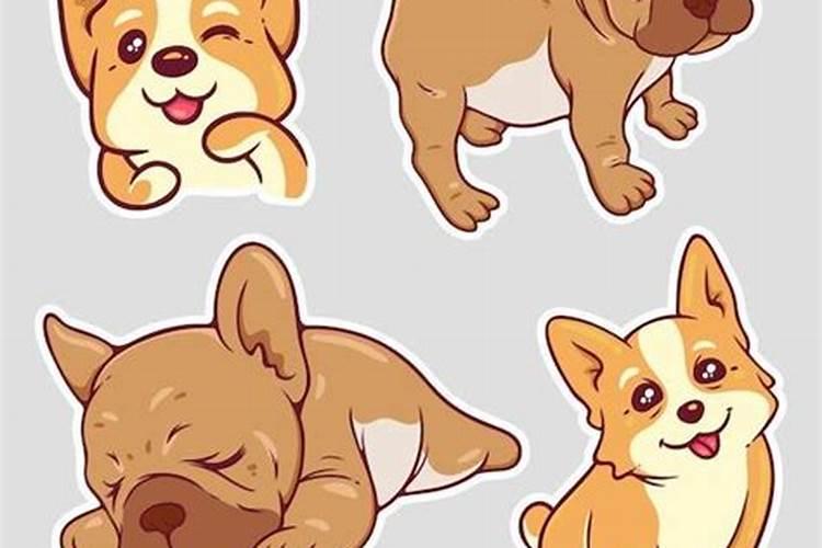 狗年跟猪年八字合吗？