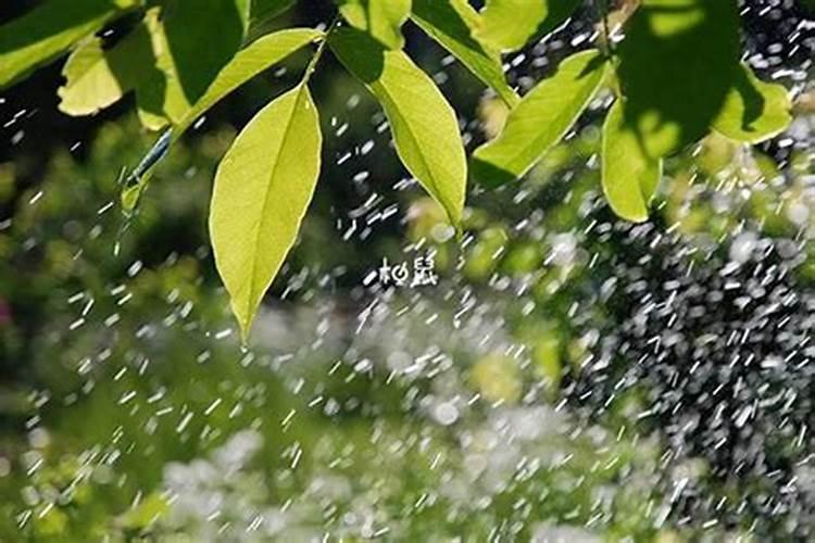 梦到下雨了什么意思？