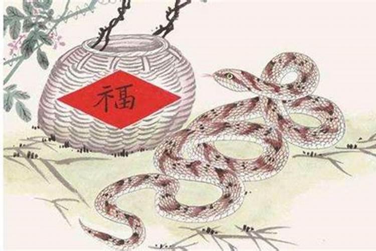 属蛇今年犯太岁身体
