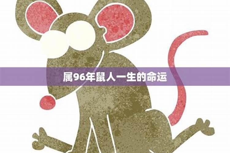 96鼠人一生运势如何？