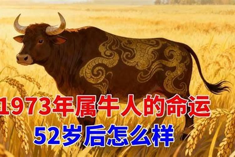 1973生肖牛一生运势