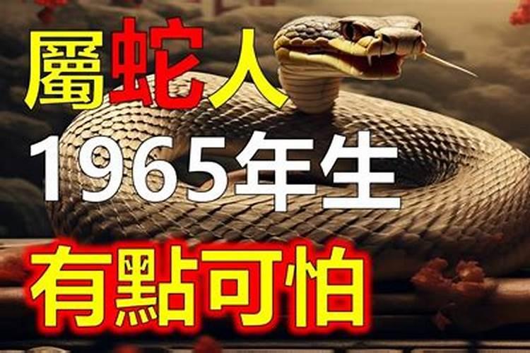 蛇年出生1965年的运程
