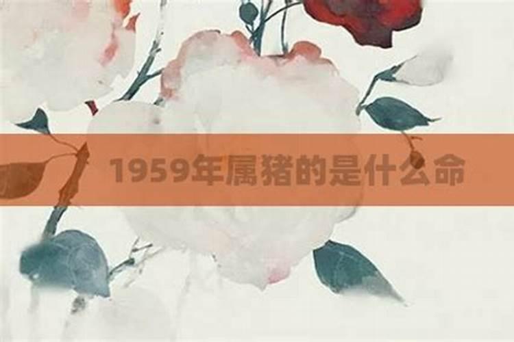 1959年是什么命？