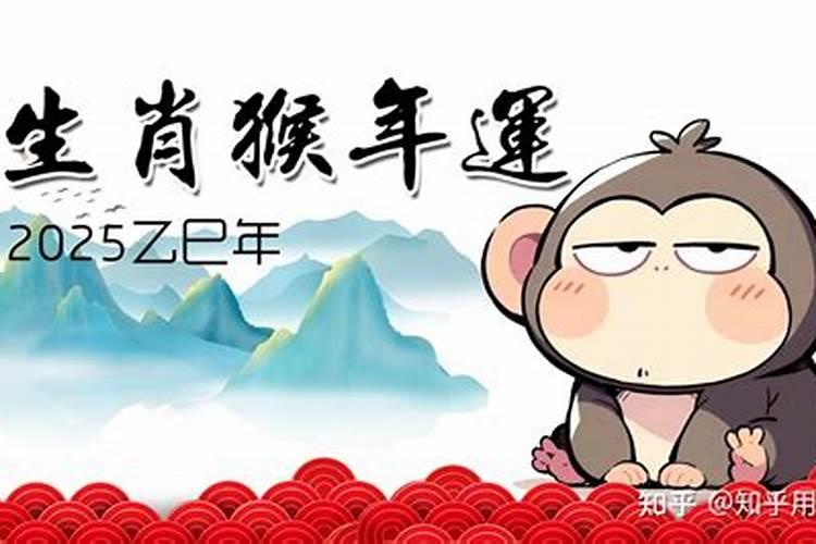 蛇人猴年运势如何？