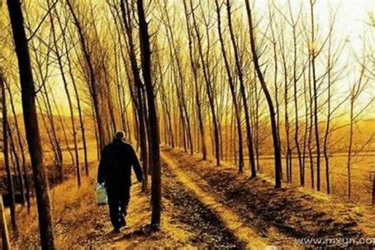 梦到死去的人又活了还和自己说话