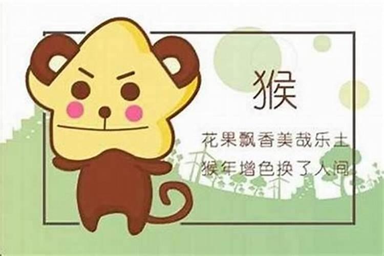 子鼠与申猴的八字合吗？