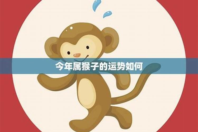 猴子六月运势如何？