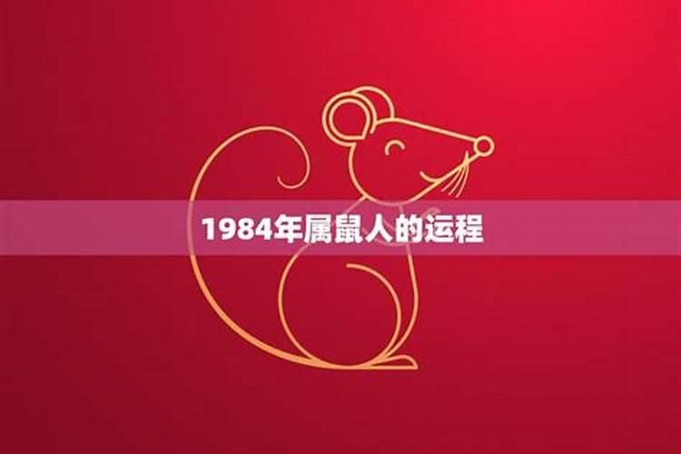 1984属鼠的运程如何？