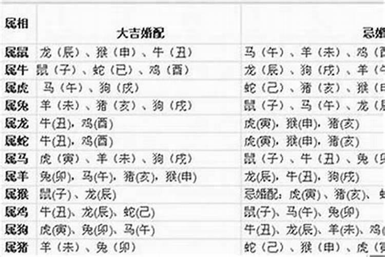 属狗婚配和什么属相不合适？