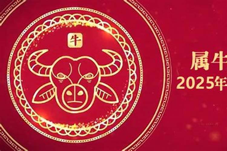 属牛今年运势及运程