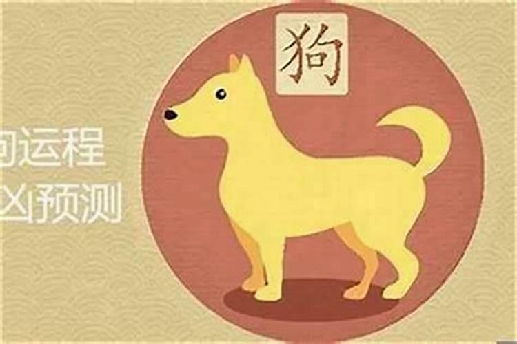属狗十二月生的今年的运势