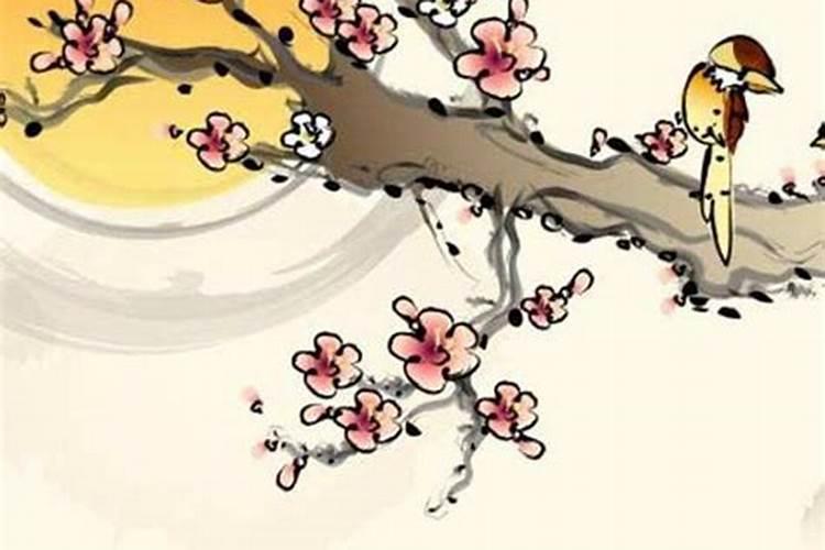 禹猴的和禹鼠的人八字合吗？