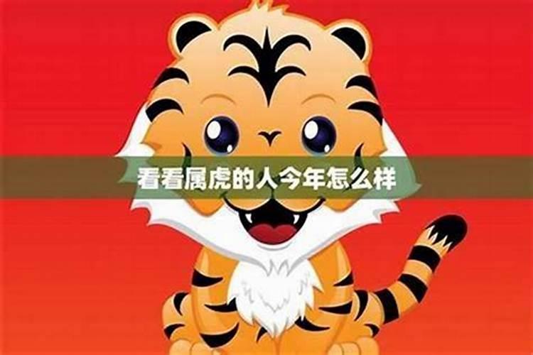 属虎一九七四年出生五月份运程