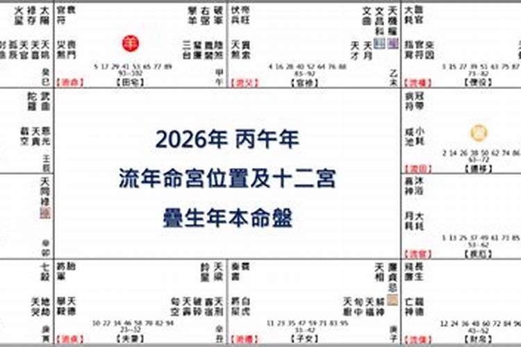 紫薇主星看2026年运势