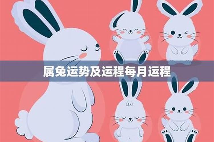 属兔在4月间的运程如何？