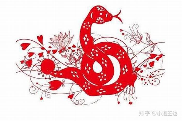 属蛇那一年犯太岁