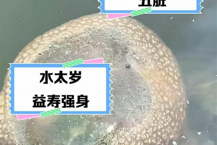 平度太岁水真的假的