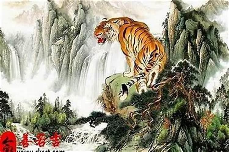 属虎的人什么时候破太岁？