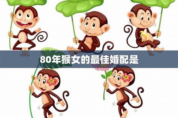 80年猴和76年龙合婚吗？