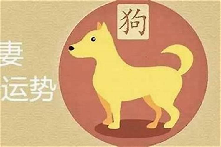 属鸡的女和属狗的男合婚吗？
