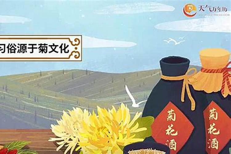 闽南重阳节风俗