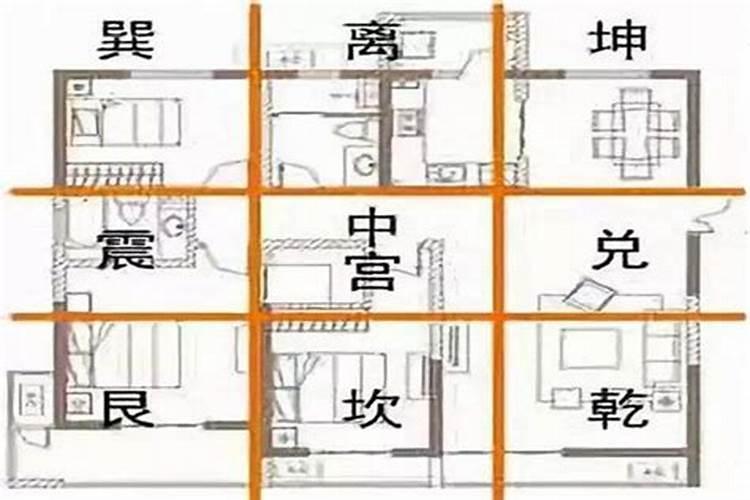 与狗住一套住宅有影响运势吗？