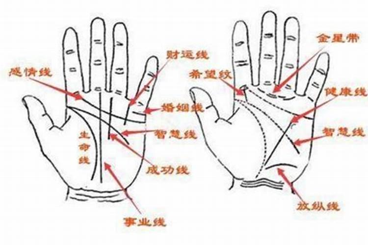 婚姻线哪系算第一条？